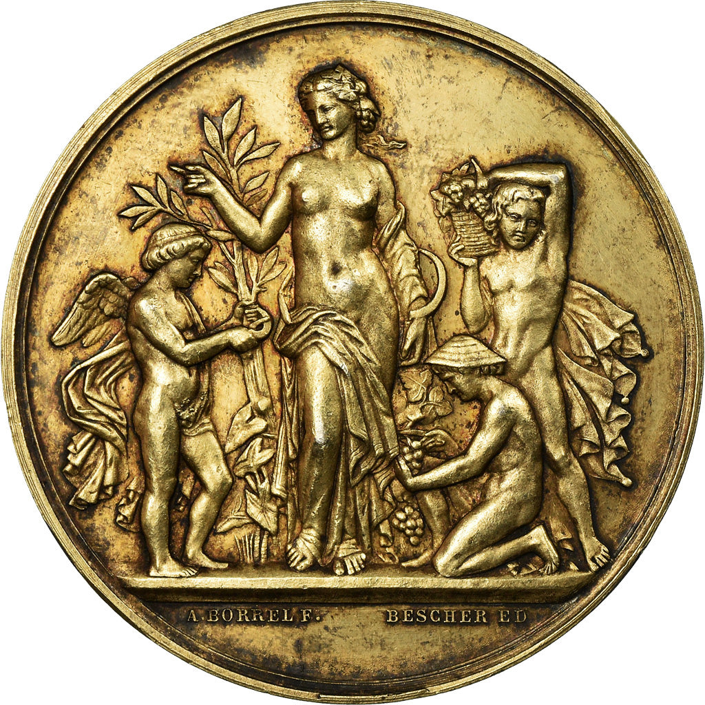 France, Médaille, Société d'Horticulture d'Eure-et-Loir, Chateaudun, 1882