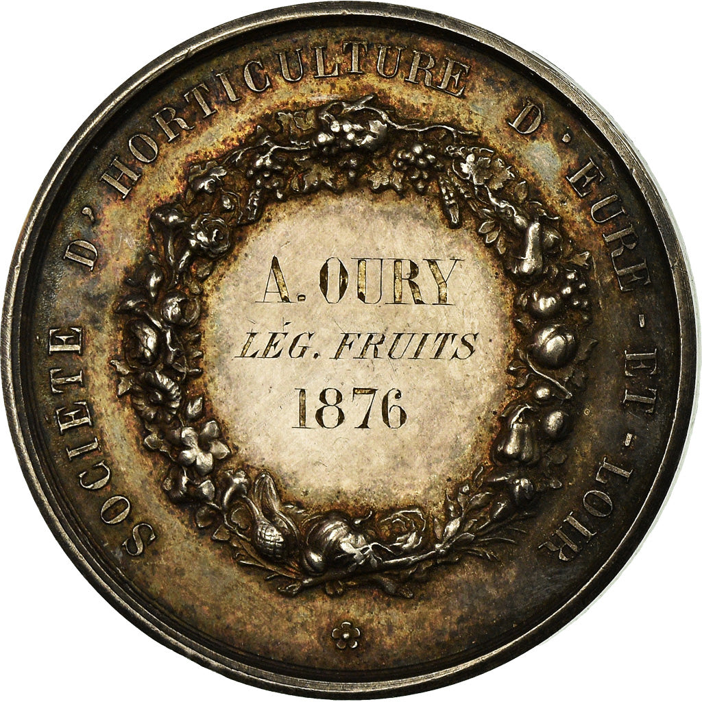 France, Medal, Société d'Horticulture d'Eure-et-Loir, 1876, Borrel.A