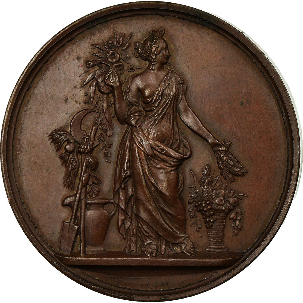 France, Medal, Société d'Horticulture d'Eure-et-Loir, 1869, MS(60-62), Copper