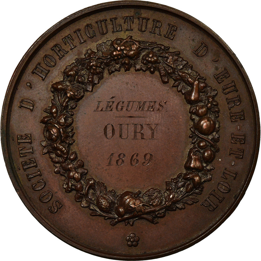 France, Medal, Société d'Horticulture d'Eure-et-Loir, 1869, MS(60-62), Copper