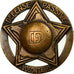 France, Broche, Défense Passive Volontaire, Médaille, 1939-1945, Excellent