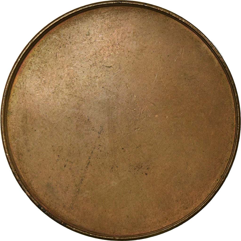 France, Medal, Arouet de Voltaire, Dumarest, AU(55-58), Bronze