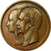 France, Medal, Napoléon III, 1er Souscripteurs, Campagnes de la Grande Armée
