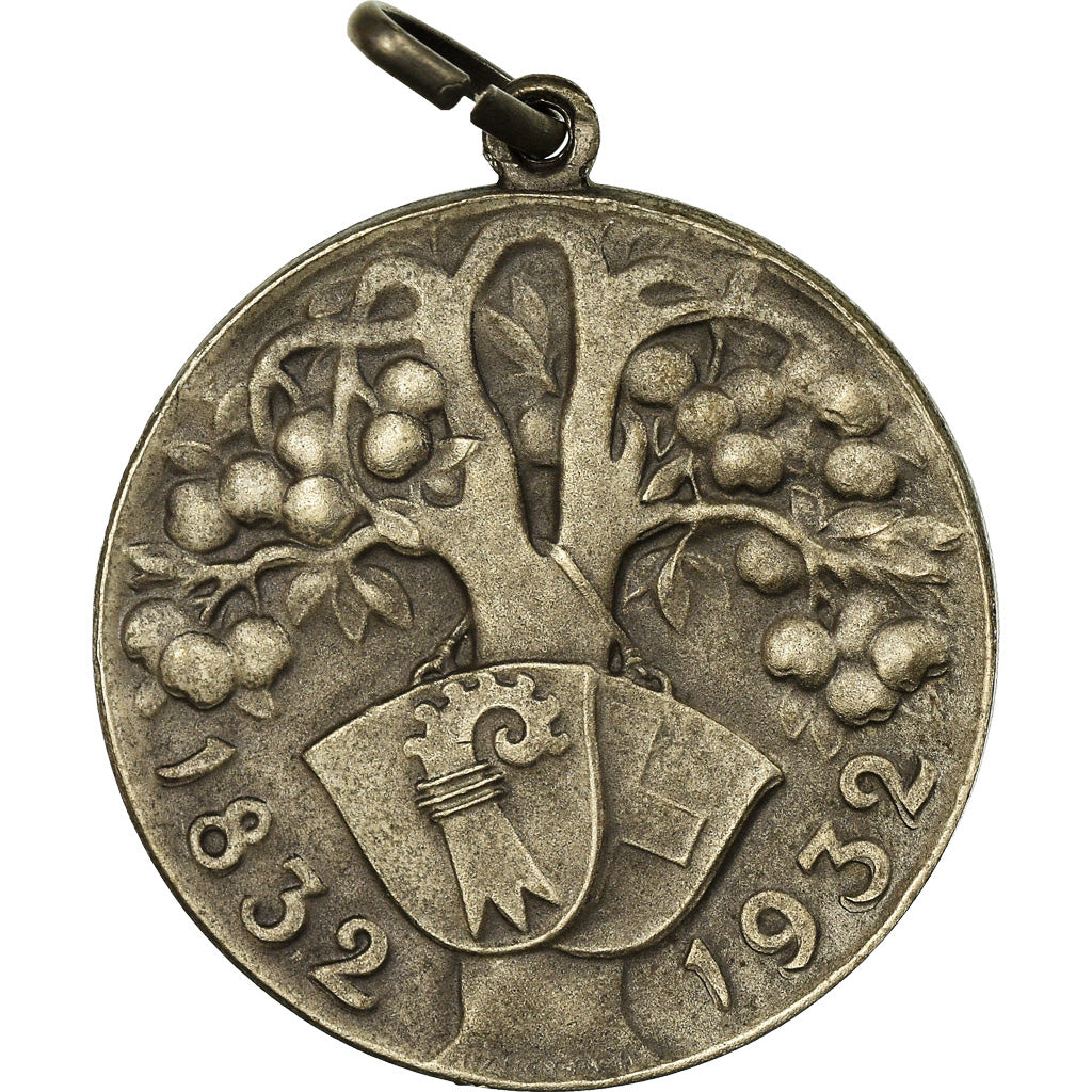 Switzerland, Medal, Agriculture, 1932, EF(40-45), Silvered bronze