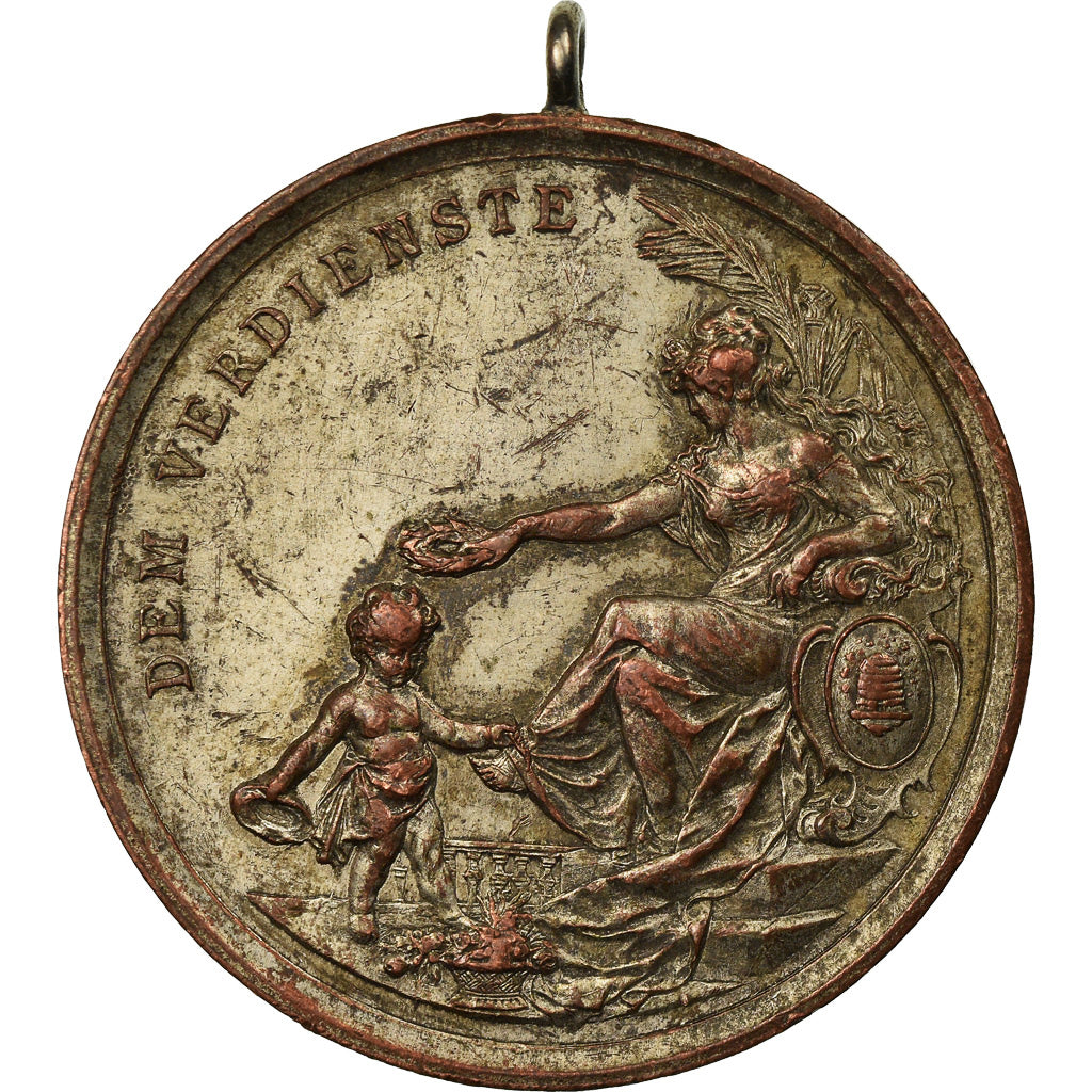 Switzerland, Medal, Lichtensteinische Landesausstellung, Vaduz, 1895, VF(20-25)