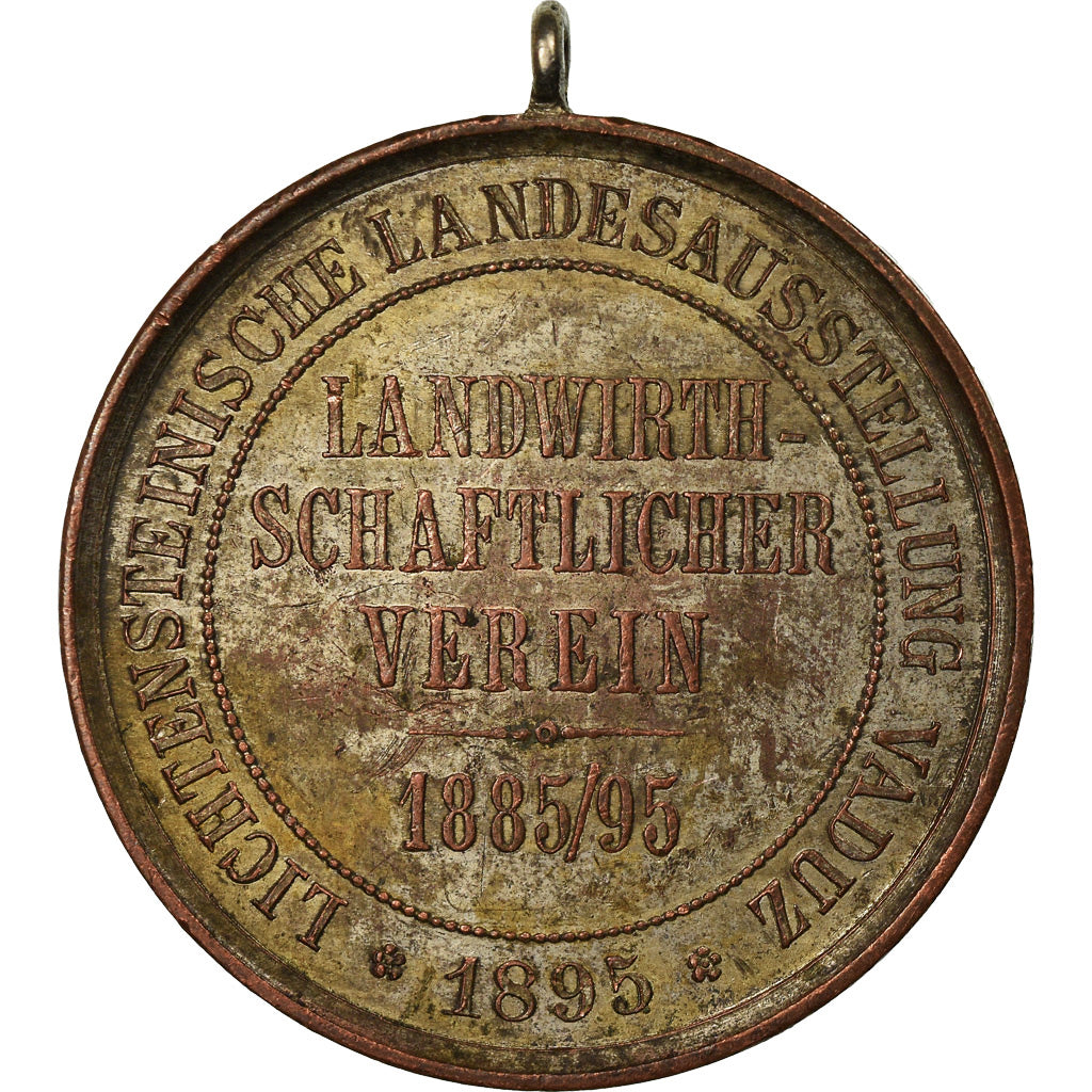 Switzerland, Medal, Lichtensteinische Landesausstellung, Vaduz, 1895, VF(20-25)