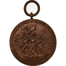 Switzerland, Medal, Schlacht bei Dornach, Benedict Fontana, AU(50-53), Bronze