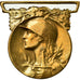 Frankrijk, Grande Guerre, Medaille, 1914-1918, Heel goede staat, Morlon, Bronze