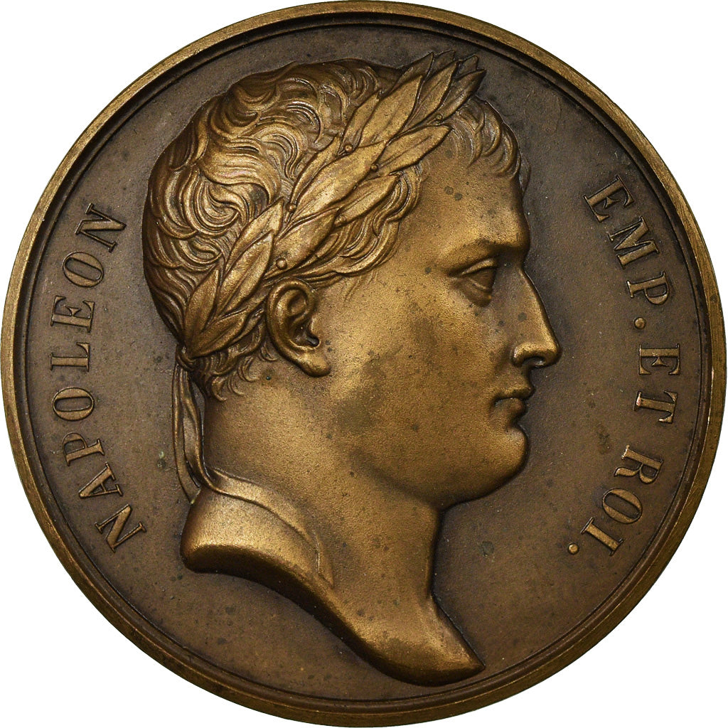 France, Médaille, Napoléon Ier, Bataille de Sommo Sierra, History, Refrappe
