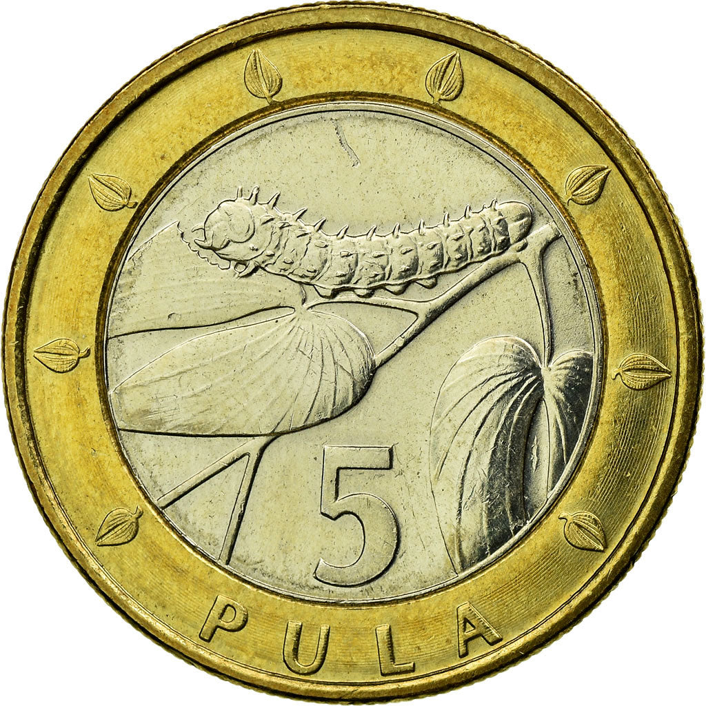 Coin, Botswana, 5 Pula, 2007, British Royal Mint, EF(40-45), Bi-Metallic, KM:30