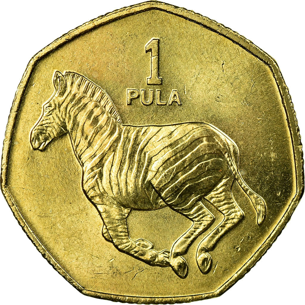 Coin, Botswana, Pula, 1991, British Royal Mint, EF(40-45), Nickel-brass, KM:24