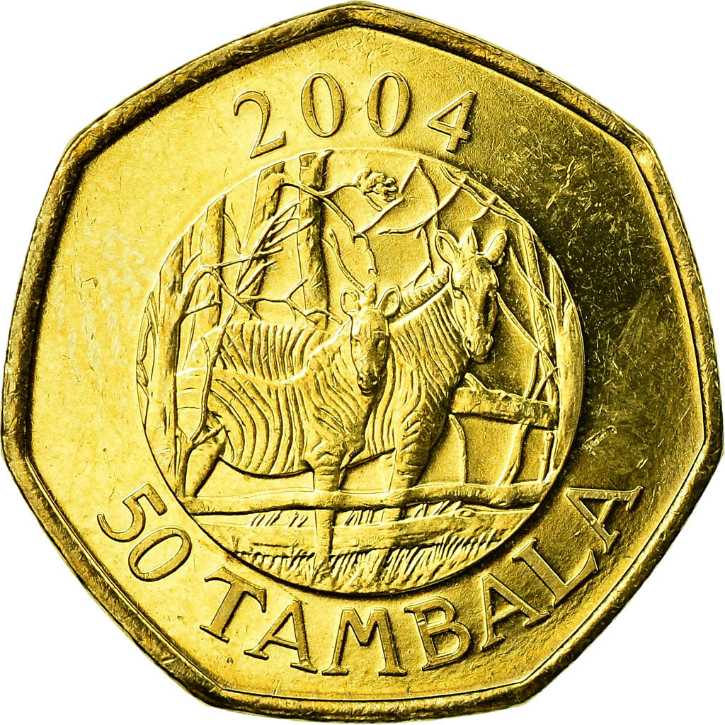 Coin, Malawi, 50 Tambala, 2004, AU(55-58), Brass plated steel, KM:66