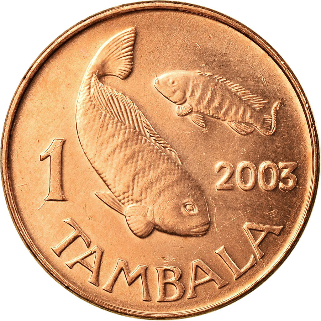 Coin, Malawi, Tambala, 2003, AU(55-58), Copper Plated Steel, KM:33a