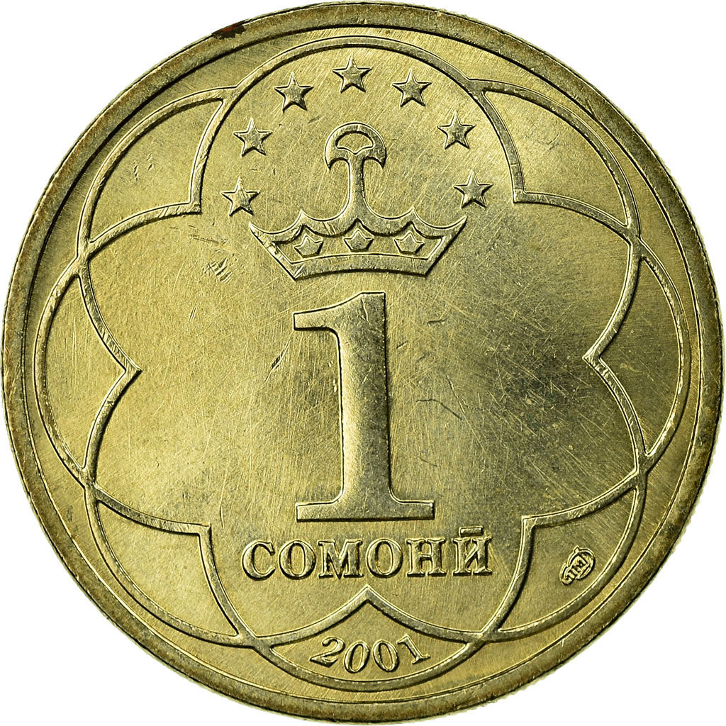 Coin, Tajikistan, Somoni, 2001, St. Petersburg, EF(40-45), Copper-Nickel-Zinc