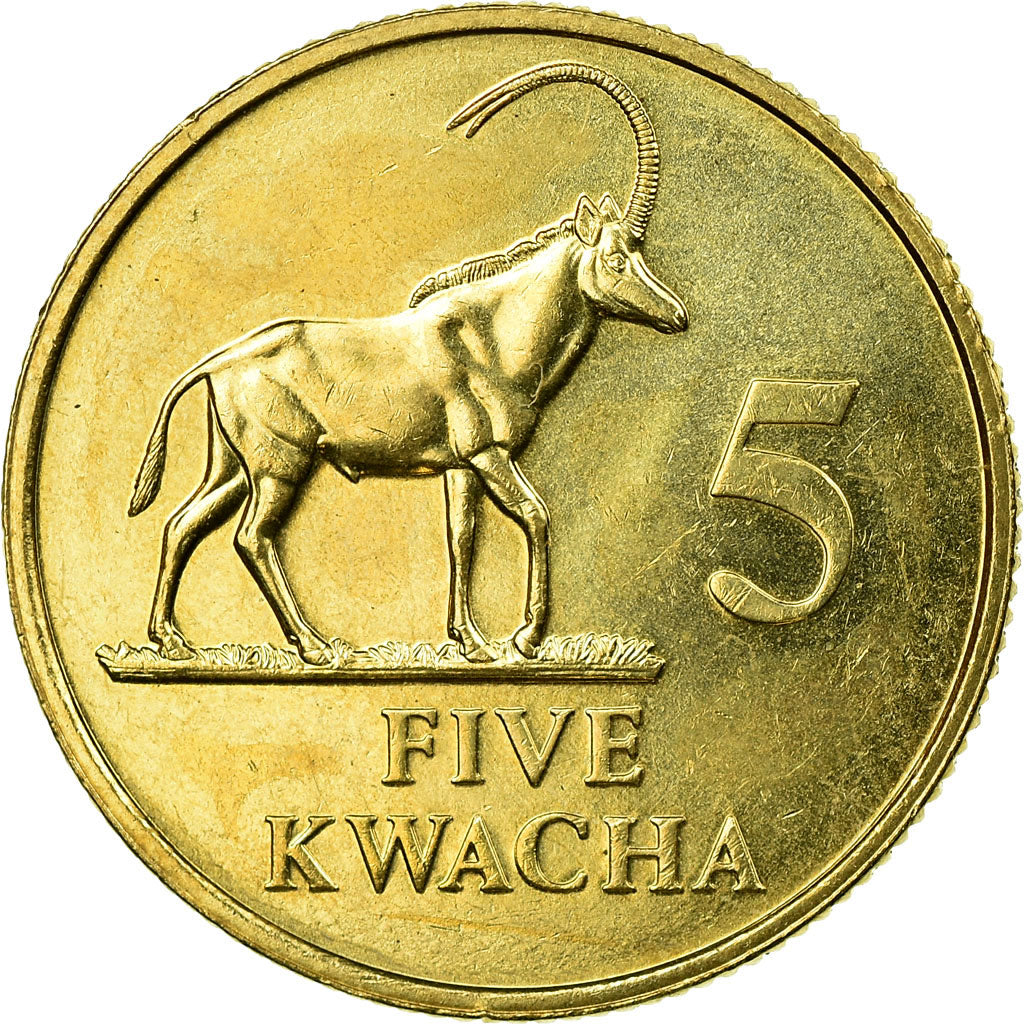 Monnaie, Zambie, 5 Kwacha, 1992, British Royal Mint, TTB, Laiton, KM:31