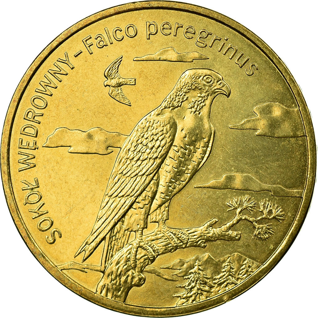 Monnaie, Pologne, SOKOL WEDROWNY - Falco peregrinus, 2 Zlote, 2008, Warsaw, TTB