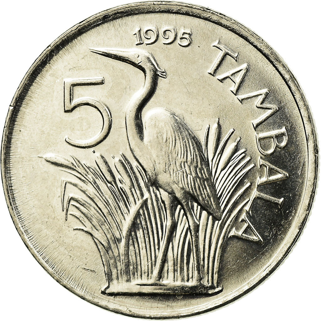 Coin, Malawi, 5 Tambala, 1995, EF(40-45), Nickel plated steel, KM:26