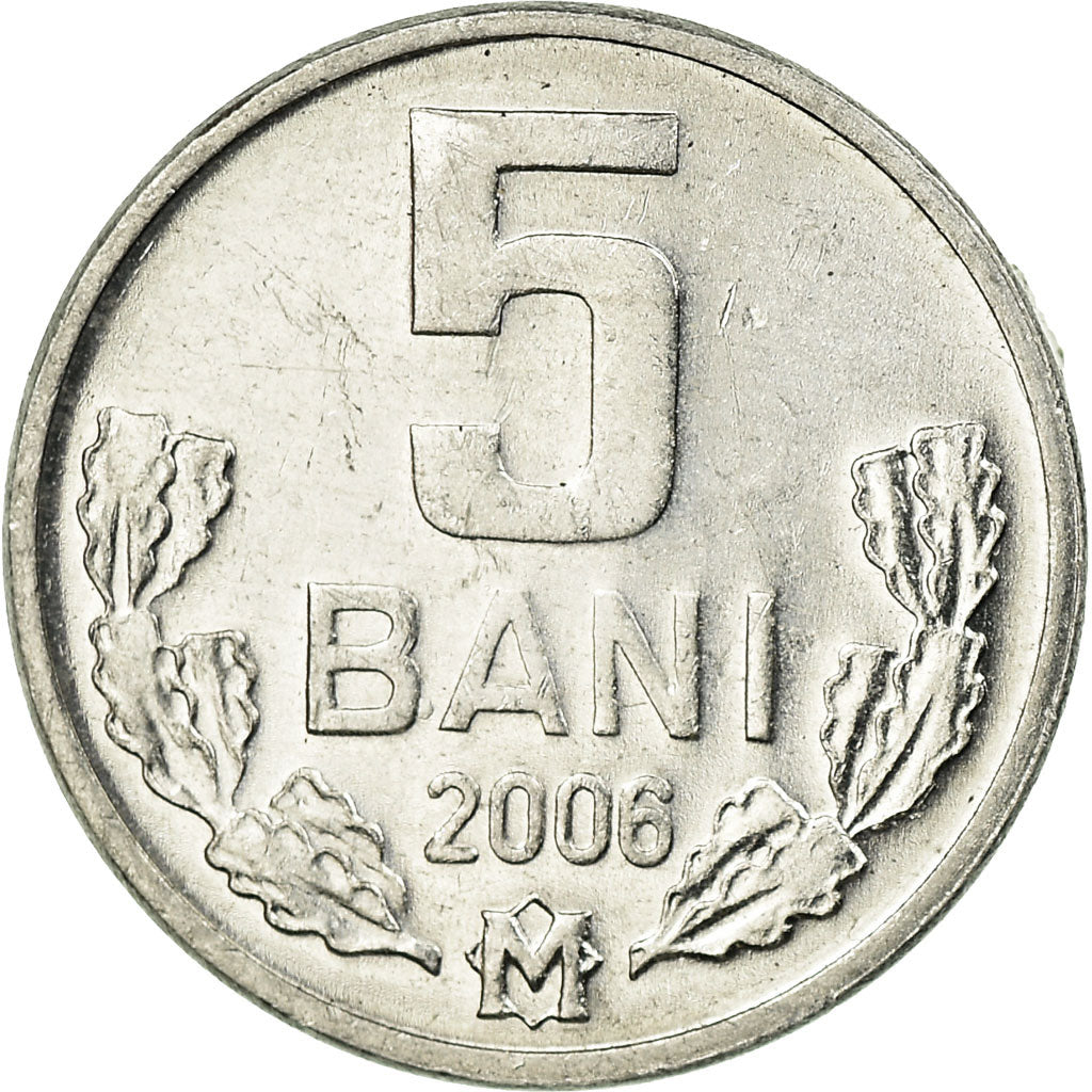 Moneta, Moldava, 5 Bani, 2006, BB, Alluminio, KM:2