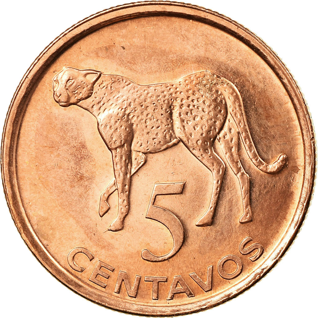 Coin, Mozambique, 5 Centavos, 2006, EF(40-45), Copper Plated Steel, KM:133
