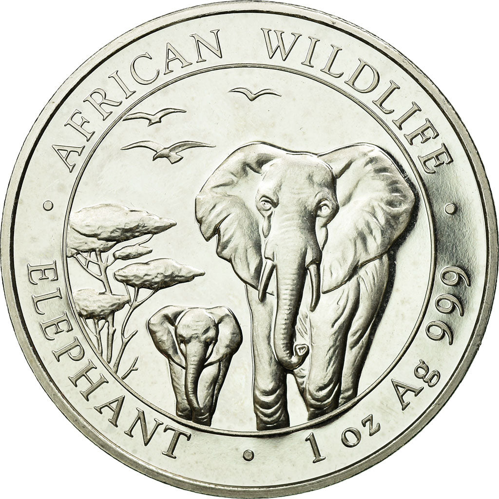 Coin, Somalia, 100 Shillings, 2015, Proof, AU(55-58), Silver