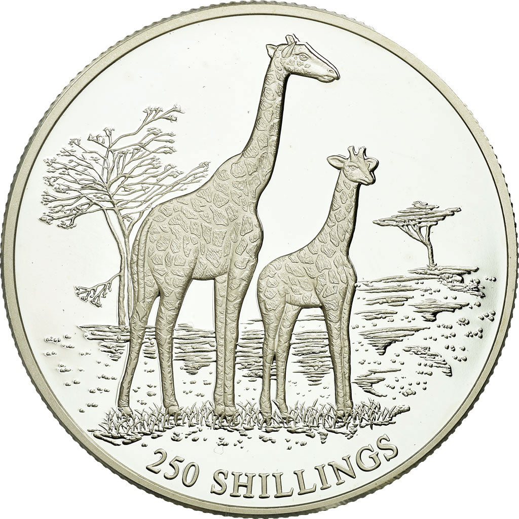 Coin, Somalia, Girafes, 250 Shillings, 1999, Proof, MS(65-70), Silver, KM:105