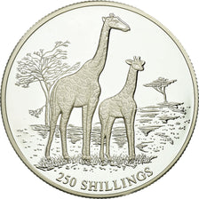 Coin, Somalia, Girafes, 250 Shillings, 1999, Proof, MS(65-70), Silver, KM:105