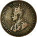 Coin, Mauritius, George V, 5 Cents, 1924, VF(30-35), Bronze, KM:14