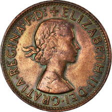 Coin, Australia, Elizabeth II, Penny, 1958, EF(40-45), Bronze, KM:56