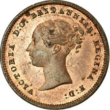 Coin, Great Britain, Victoria, 1/2 Farthing, 1843, EF(40-45), Copper, KM:738