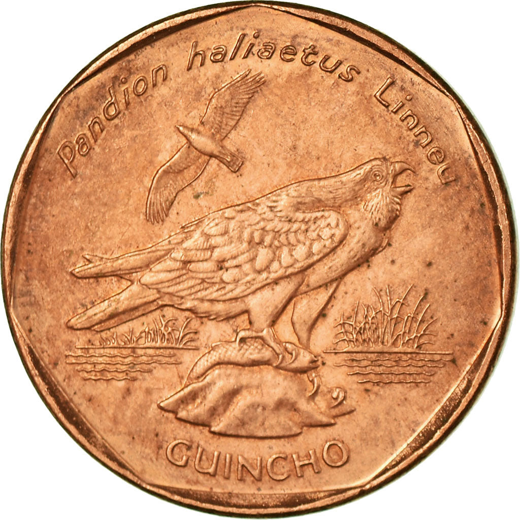 Coin, Cape Verde, 5 Escudos, 1994, VF(30-35), Copper Plated Steel, KM:28