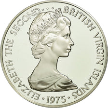 Coin, BRITISH VIRGIN ISLANDS, Elizabeth II, Dollar, 1975, Franklin Mint, U.S.A.