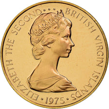 Coin, BRITISH VIRGIN ISLANDS, Elizabeth II, Cent, 1975, Franklin Mint, U.S.A.