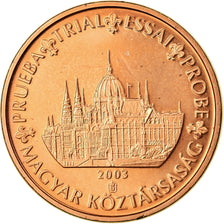 Hungary, Fantasy euro patterns, Euro Cent, 2007, MS(65-70), Copper