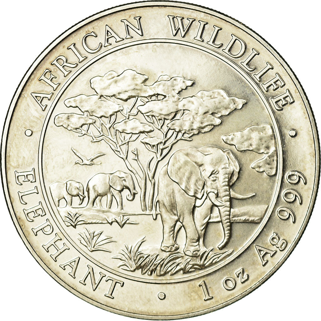 Coin, Somalia, 100 Shillings, 2012, AU(55-58), Silver
