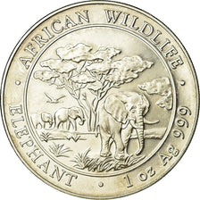 Coin, Somalia, 100 Shillings, 2012, AU(55-58), Silver