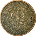Moneda, Polonia, 2 Grosze, 1938, Warsaw, MBC, Bronce, KM:9a