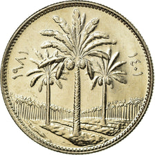 Coin, Iraq, 25 Fils, 1981/AH1401, MS(63), Copper-nickel, KM:127