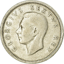 Coin, South Africa, George VI, Shilling, 1950, VF(30-35), Silver, KM:37.1