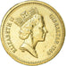 Coin, Gibraltar, Elizabeth II, Pound, 1989, EF(40-45), Nickel-brass, KM:32