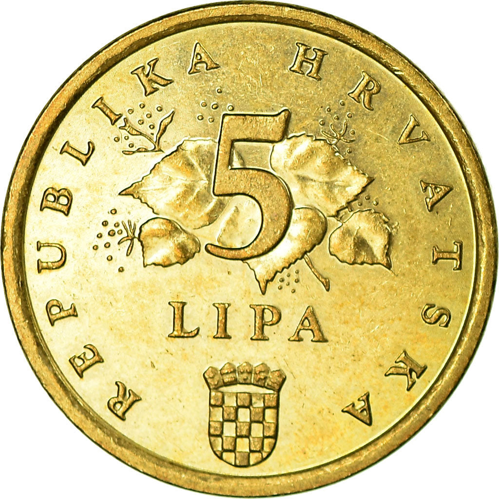 Coin, Croatia, 5 Lipa, 1996, EF(40-45), Brass plated steel, KM:37