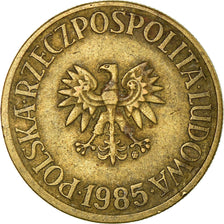 Moneda, Polonia, 5 Zlotych, 1985, Warsaw, BC+, Latón, KM:81.1