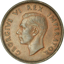 Coin, South Africa, George VI, 1/2 Penny, 1941, EF(40-45), Bronze, KM:24