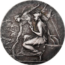 France, Medal, Chambre de Commerce de Lure, Business & industry, Dropsy