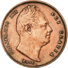 Coin, Great Britain, William IV, Farthing, 1836, EF(40-45), Copper, KM:705