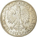 Coin, Poland, 5 Zlotych, 1936, Warsaw, EF(40-45), Silver, KM:31