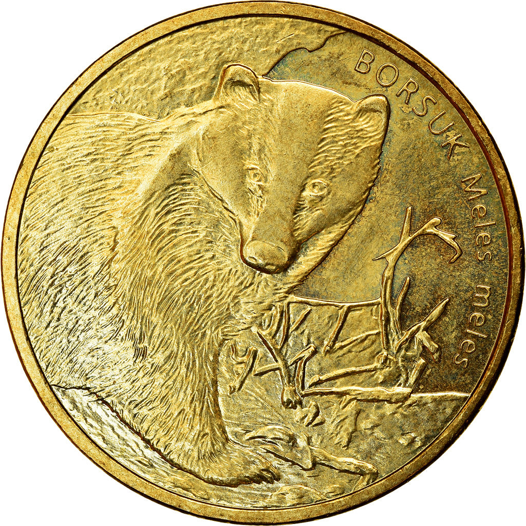Coin, Poland, 2 Zlote, 2011, Warsaw, EF(40-45), Brass, KM:762