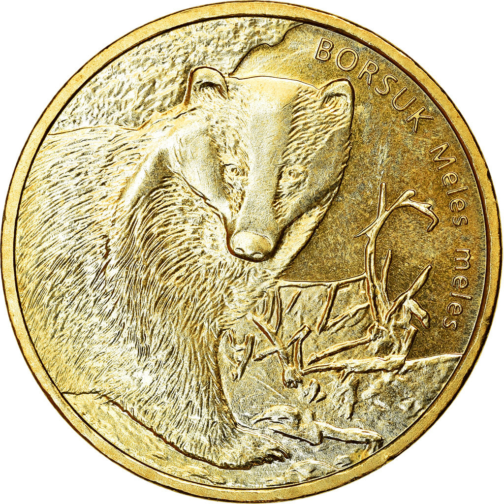 Coin, Poland, 2 Zlote, 2011, Warsaw, EF(40-45), Brass, KM:762