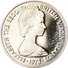 Moneta, ISOLE VERGINI BRITANNICHE, Elizabeth II, 5 Cents, 1973, Franklin Mint
