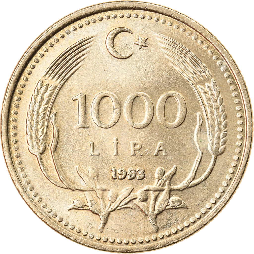 Münze, Türkei, 1000 Lira, 1993, VZ+, Nickel-brass, KM:997