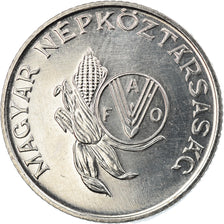 Coin, Hungary, 5 Forint, 1983, Budapest, EF(40-45), Nickel, KM:628
